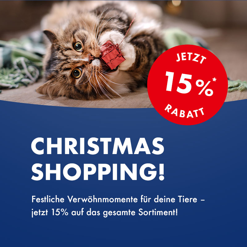 Christmas Shopping mit 15% Rabatt auf das ganze Sortiment