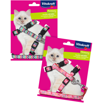 Kätzchengeschirr mit Leine