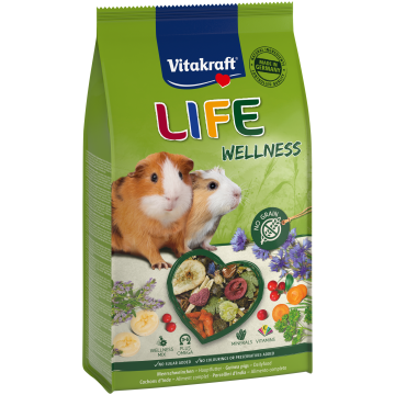 LIFE Wellness