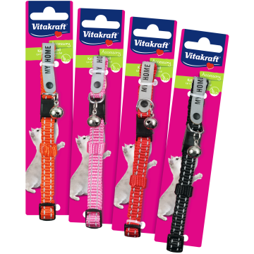 Katzenhalsband mit Adresslasche, reflektierend