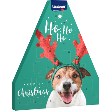 Adventskalender für Hunde