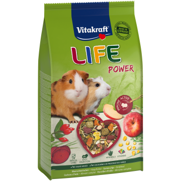 LIFE Power