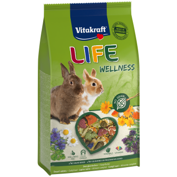 LIFE Wellness