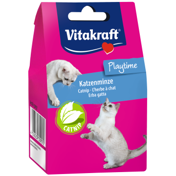 Katzenminze, lose