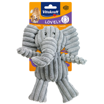 Safari Elefant