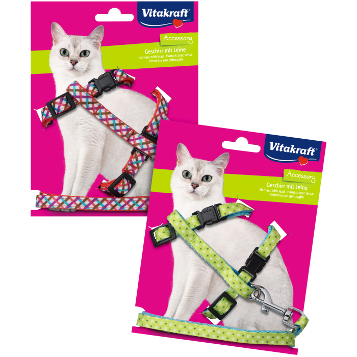 Katzengeschirr mit Leine, 27-46 cm, L