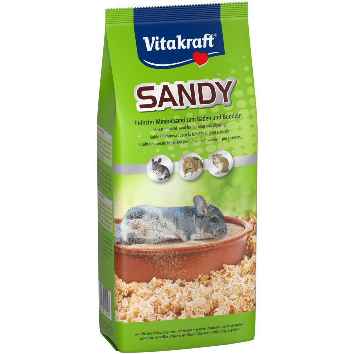 SANDY SANDY