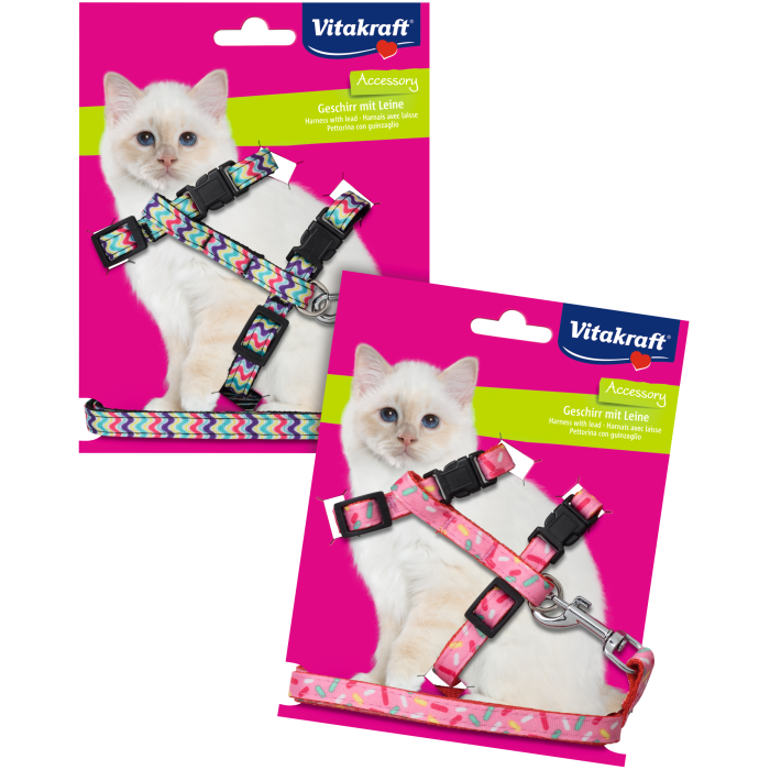 Kätzchengeschirr mit Leine