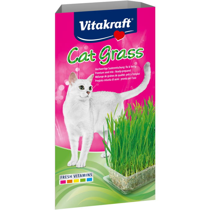 Cat Grass